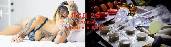 молекула духа Алексин