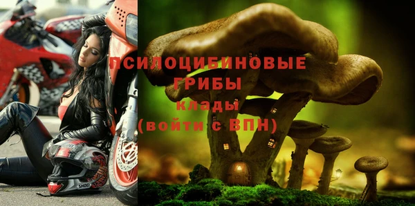 apvp Балабаново