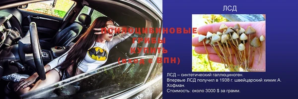 apvp Балабаново